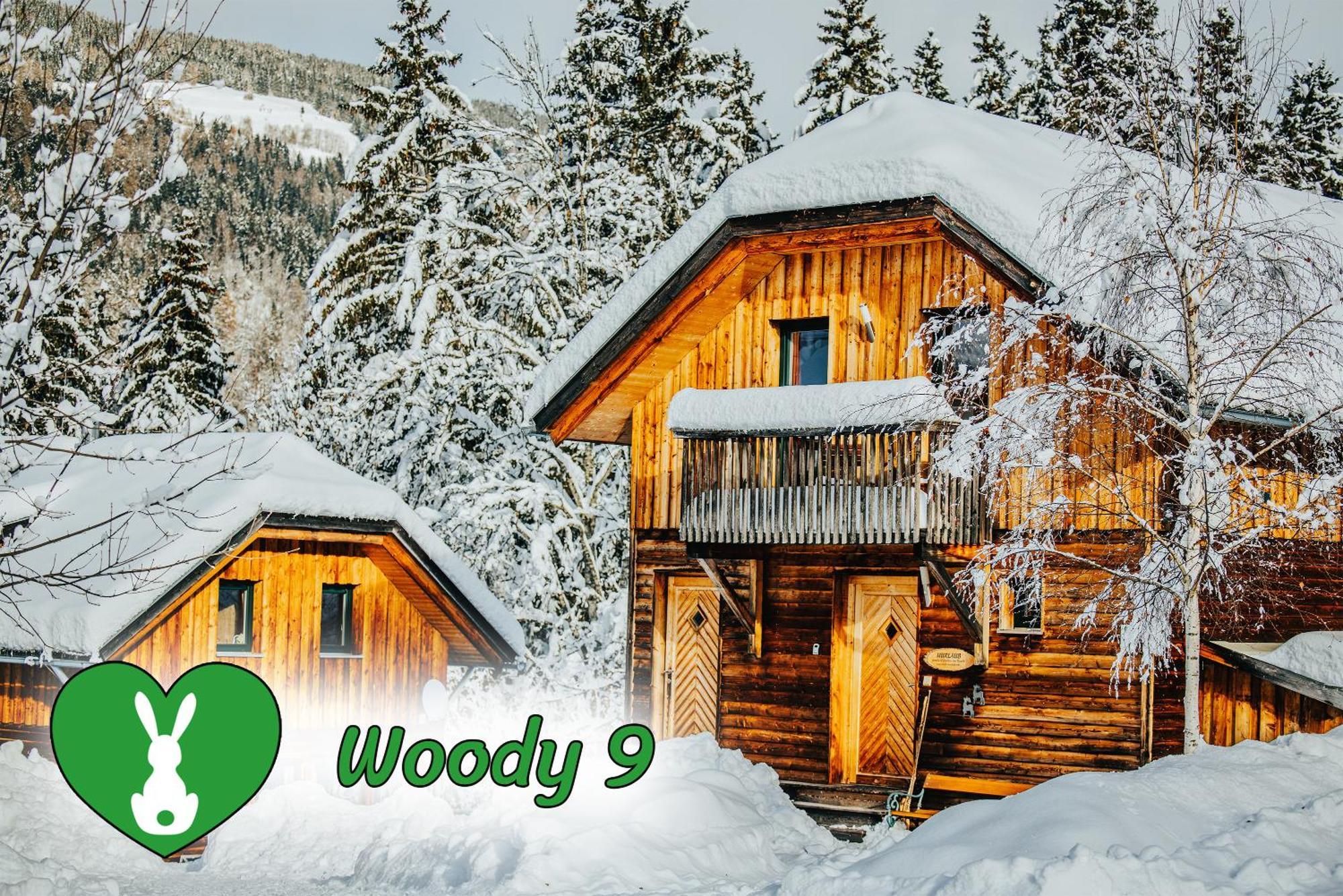 Woody Park Vila Sankt Georgen ob Murau Exterior foto
