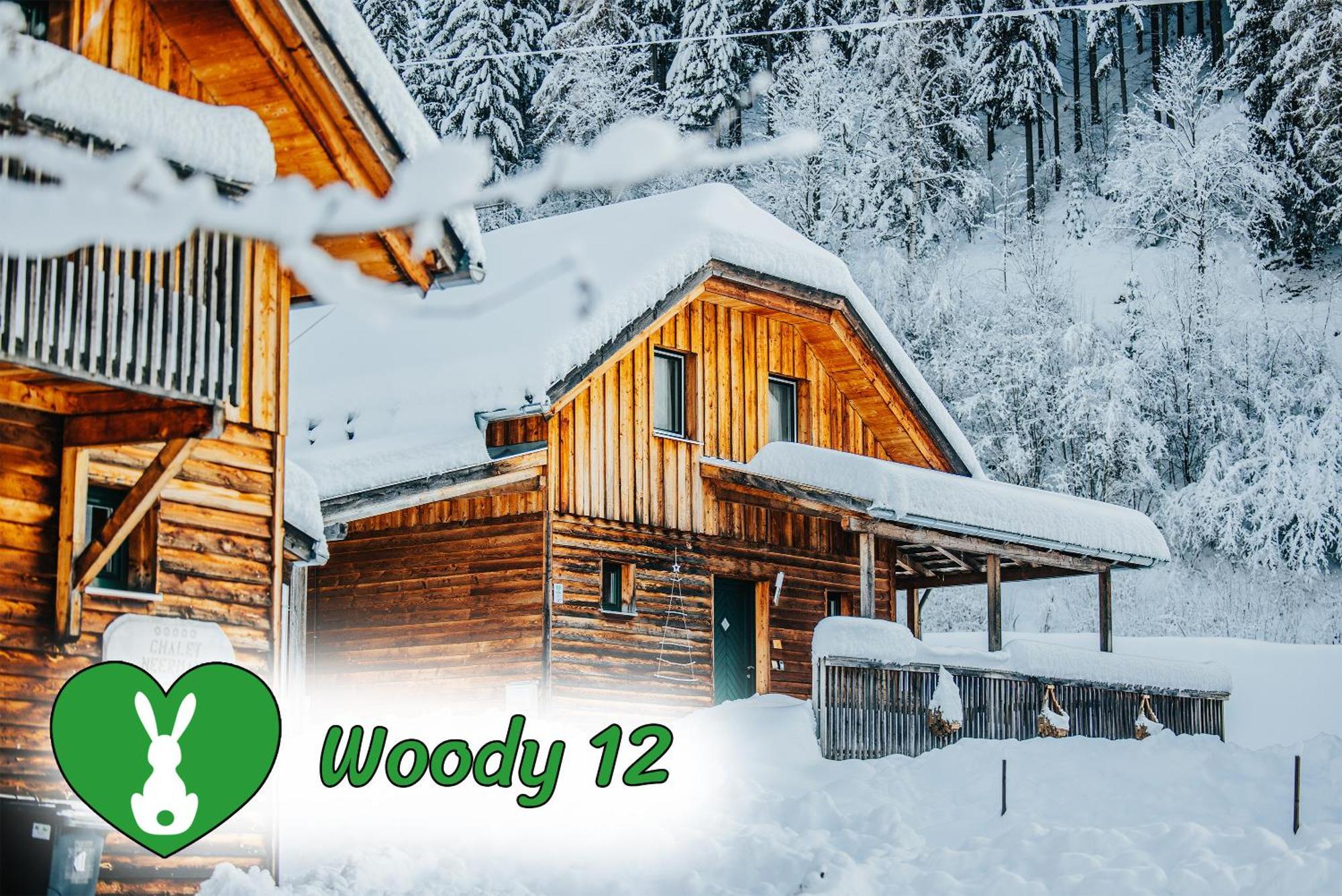 Woody Park Vila Sankt Georgen ob Murau Exterior foto